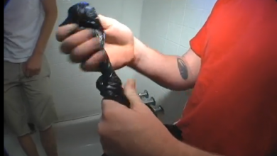 AoManAhzBCMqL 6aHbVppAn1gcznaJHPj01P7C6gRFtNh5Kw7X9l7GqAIOswCnegtunS9WLk 4JL 9kskpQjTQVIYOVldnNmudTUZvxa DBgCdaD2uqYm