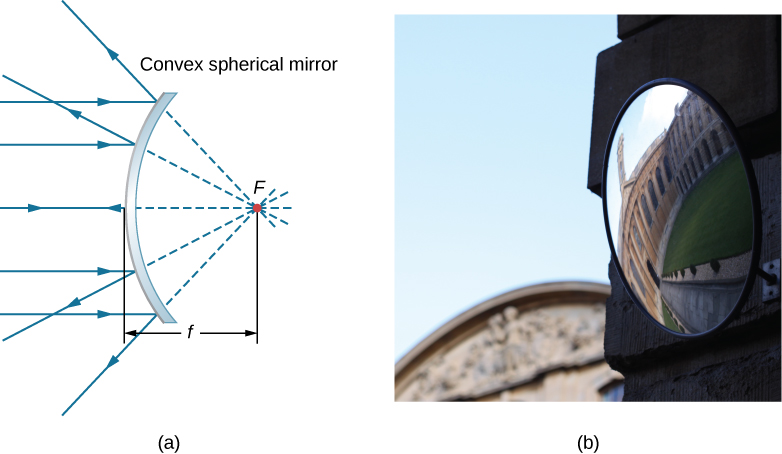 Figure a shows the cross-section of a convex mirror. Parallel rays reflect from it and diverge in different directions. The reflected rays are elongated at the back by dotted lines and appear to originate from a single point behind the mirror. This point is marked as F. The distance from this point to the mirror is marked as f. Figure b is an image of a convex mirror reflecting the image of a building. The image is warped and distorted.