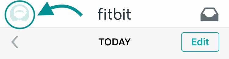 account icon in the Fitbit app