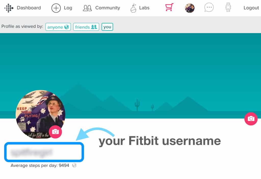 your fitbit username on fitbit website account settings