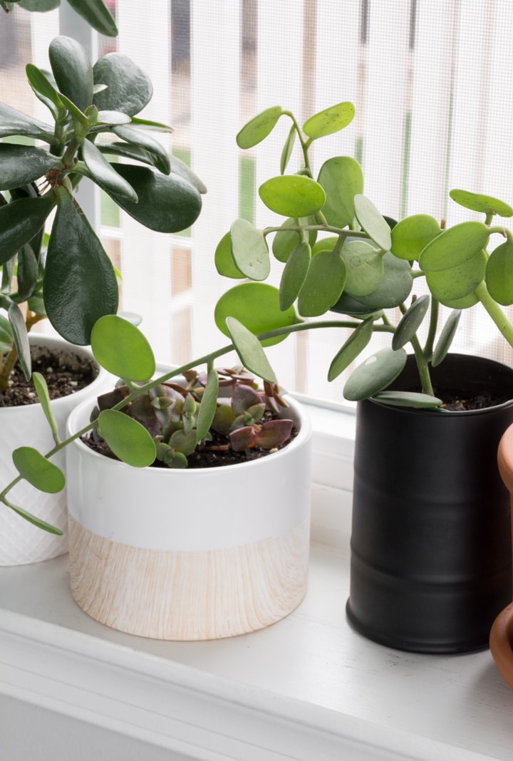 Hole in ceramic pot