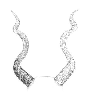 How to Draw Horns