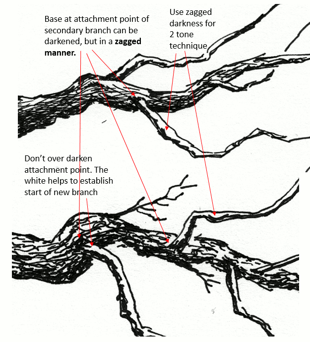 pen and ink drawing tutorial