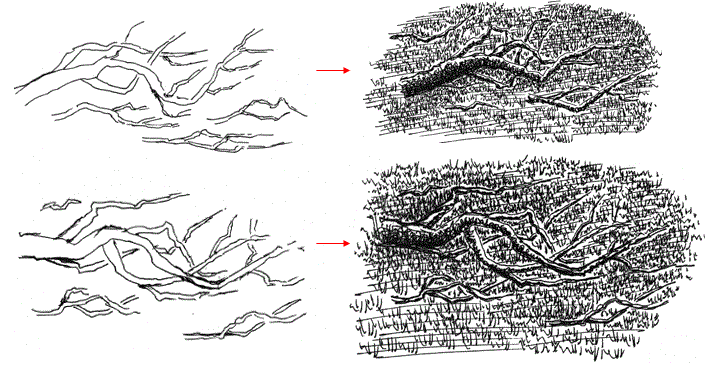 draw saplings