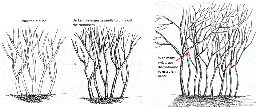 a-winterscape-pen-and-ink-draw