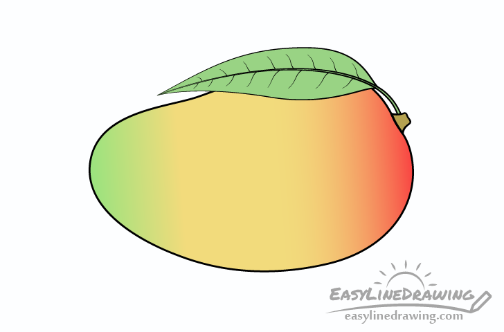 Mango drawing