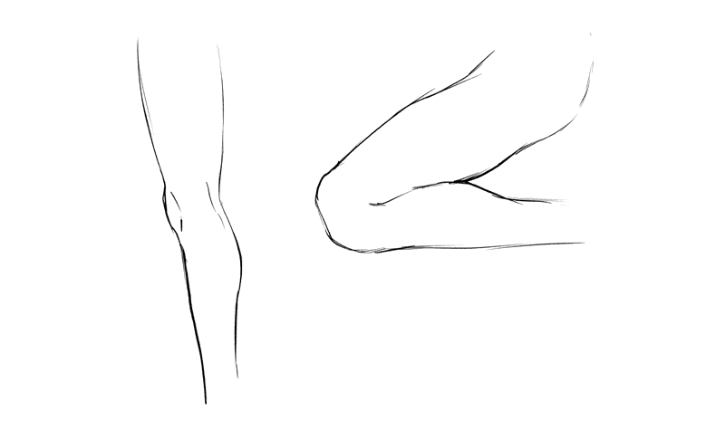 How to draw knees simple guides4