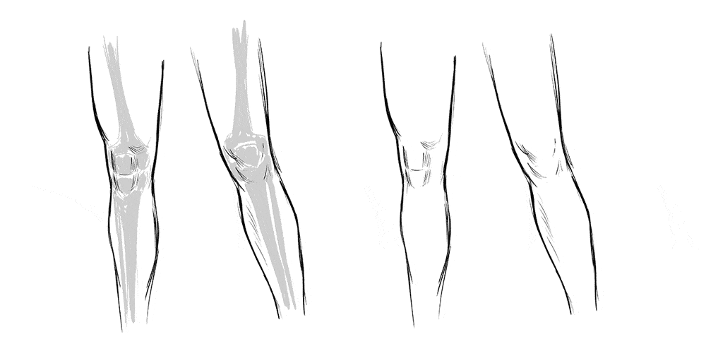 How to draw knees simple guides1
