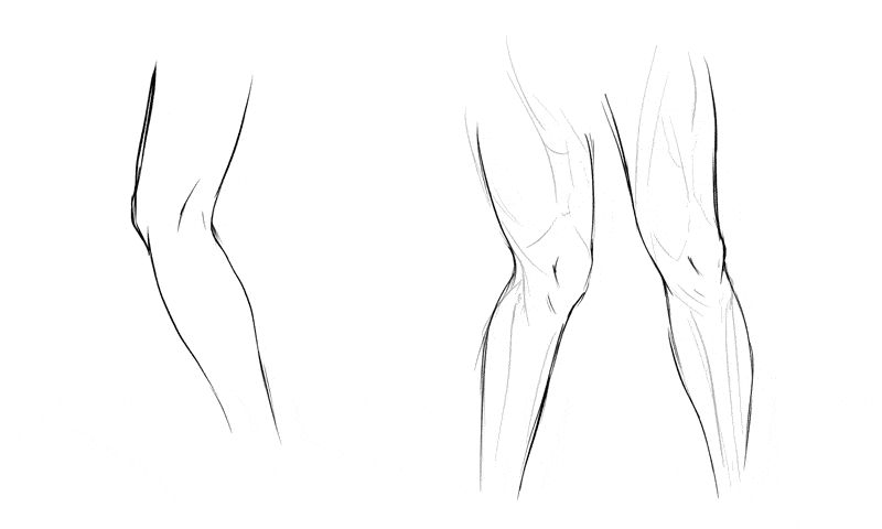 How to draw knees simple guides6