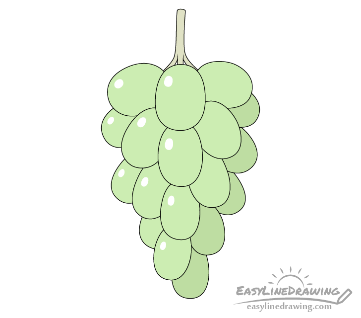 Draw grapes