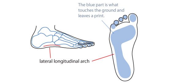Mistakes not to make in drawing the outer side of the foot