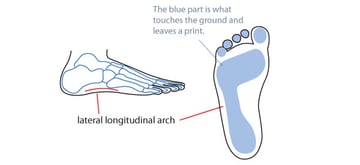 Mistakes not to make in drawing the outer side of the foot