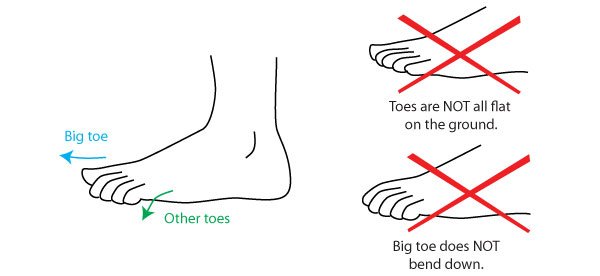 Drawing the foot step 1