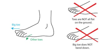Drawing the foot step 2