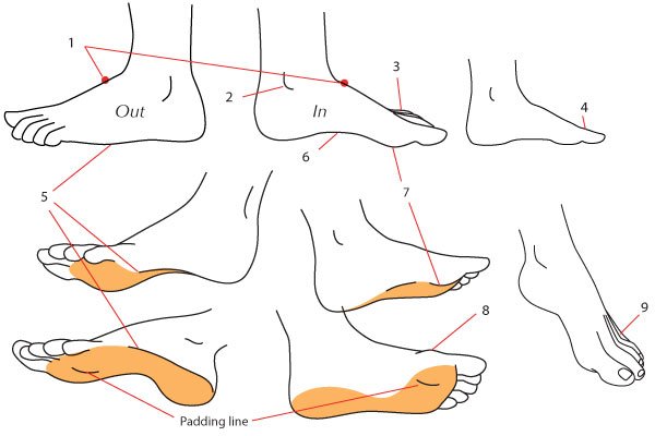 Male and female feet