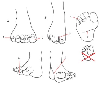 Foot shapes