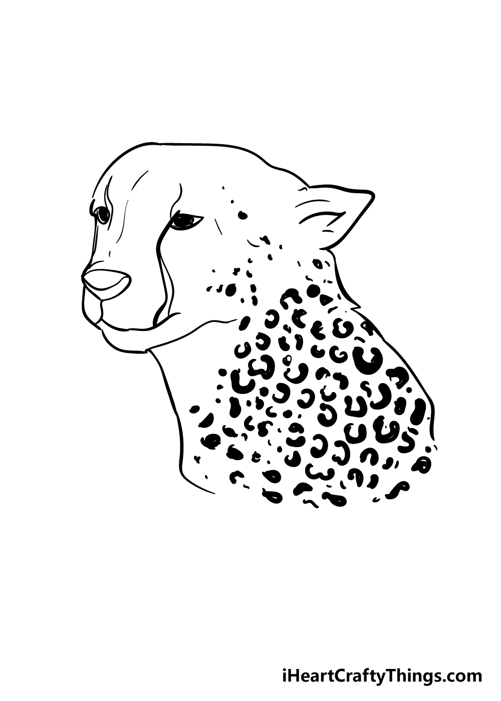 cheetah print drawing step 6