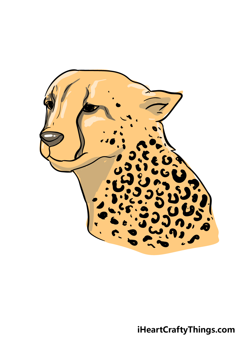 Cheetah print drawing step 7