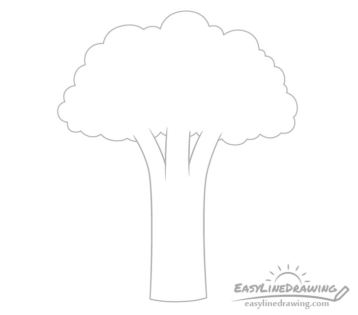 Broccoli stem drawing
