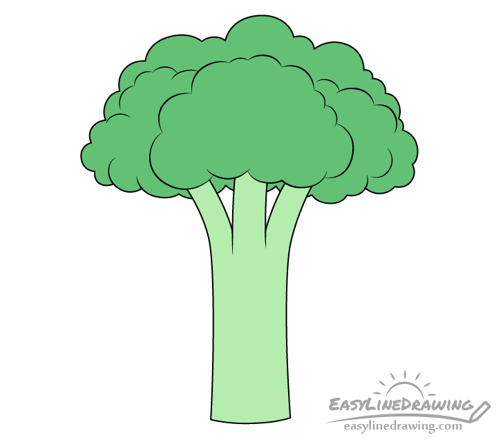 Drawing broccoli