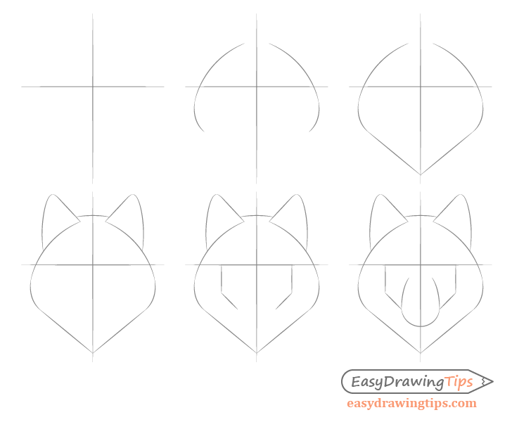 The basic face shape of the wolf step by step drawing