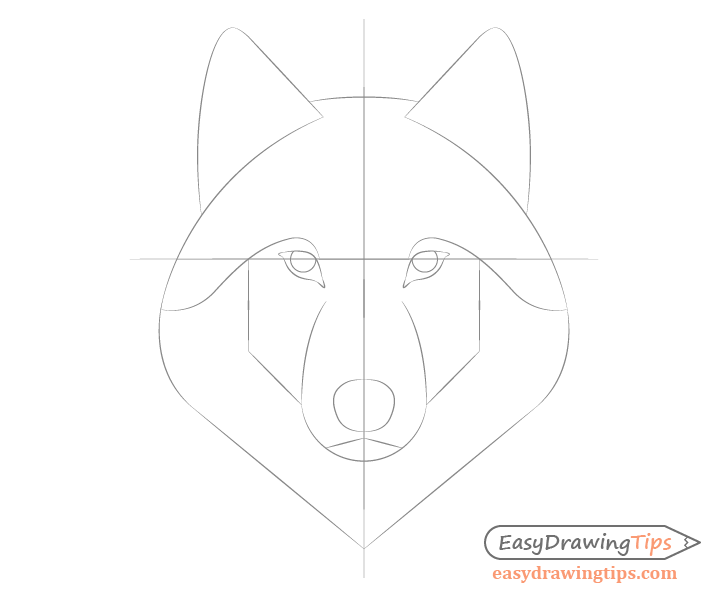 Drawing of the location of the features on the wolf's face