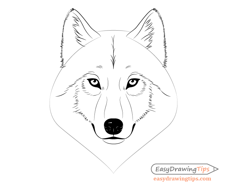 Draw a wolf face