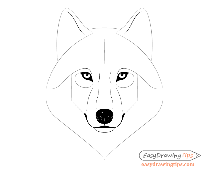 Draw wolf facial features
