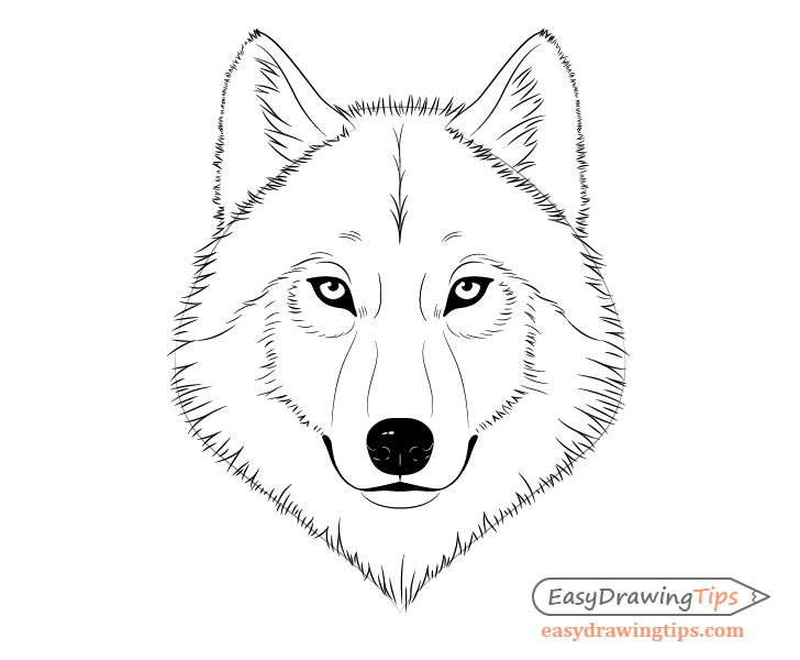 Feather-faced wolf