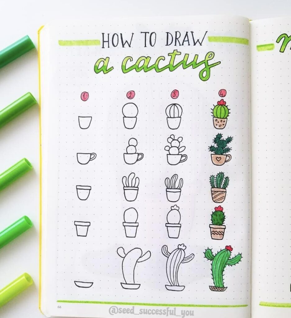 how-to-draw-a-cactus-seed-success-you