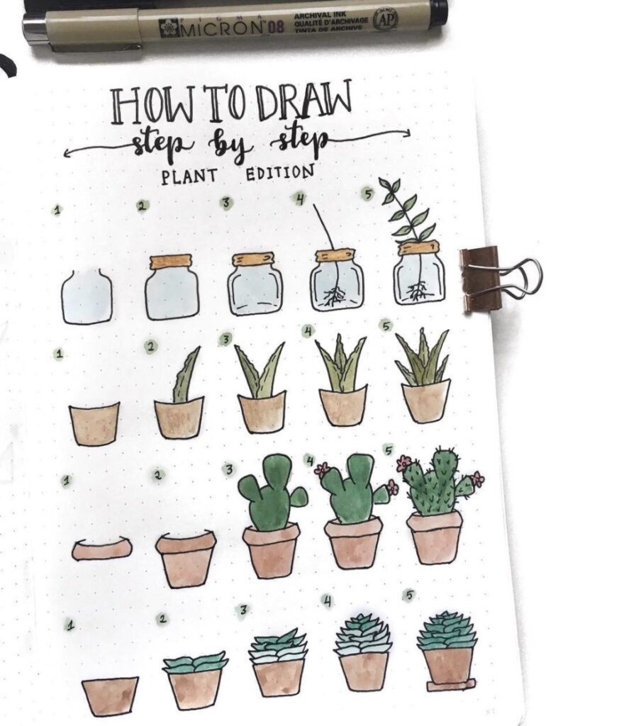 step-by-step-plant-warmdaydreams