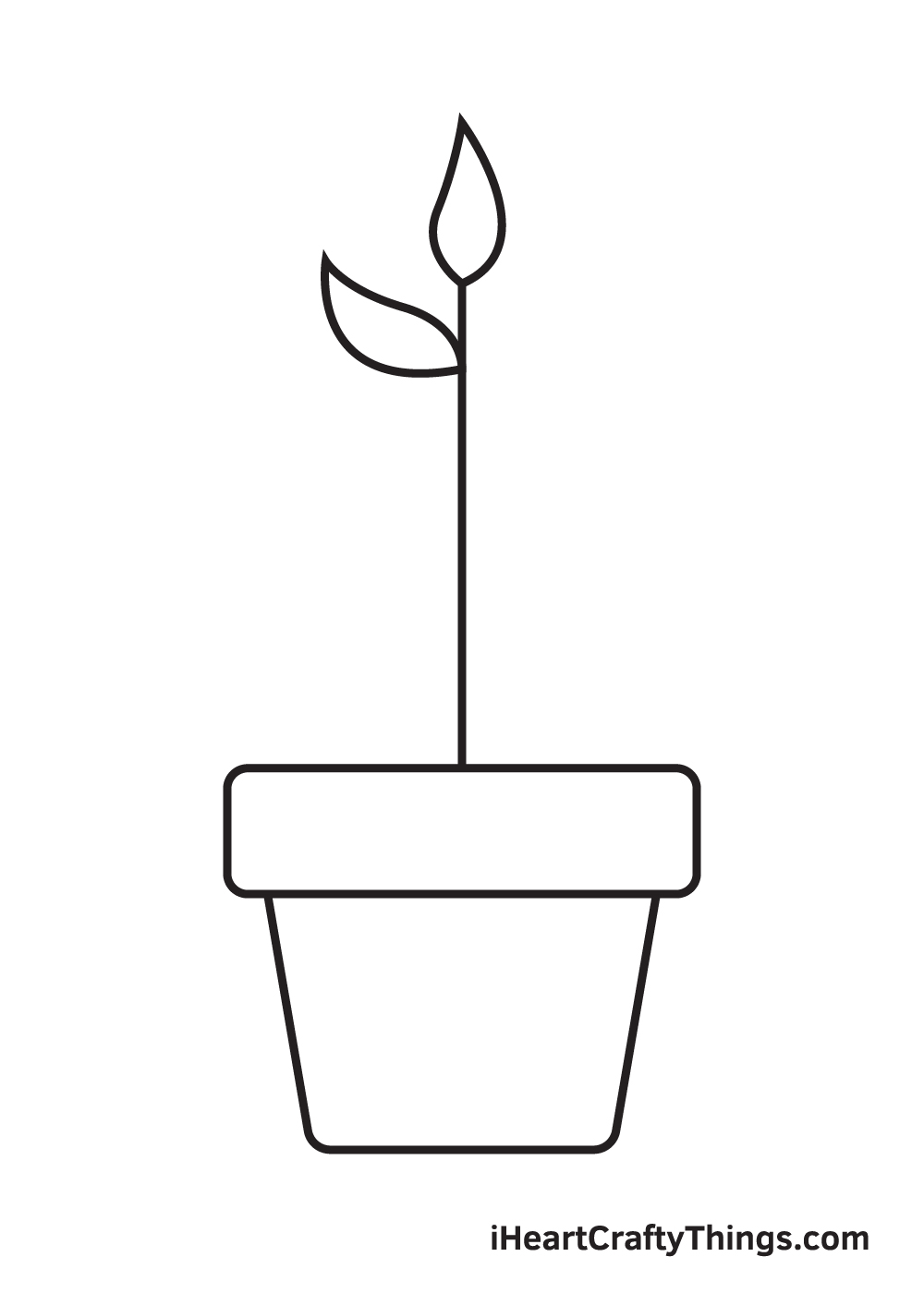 Plant Drawing - Step 4