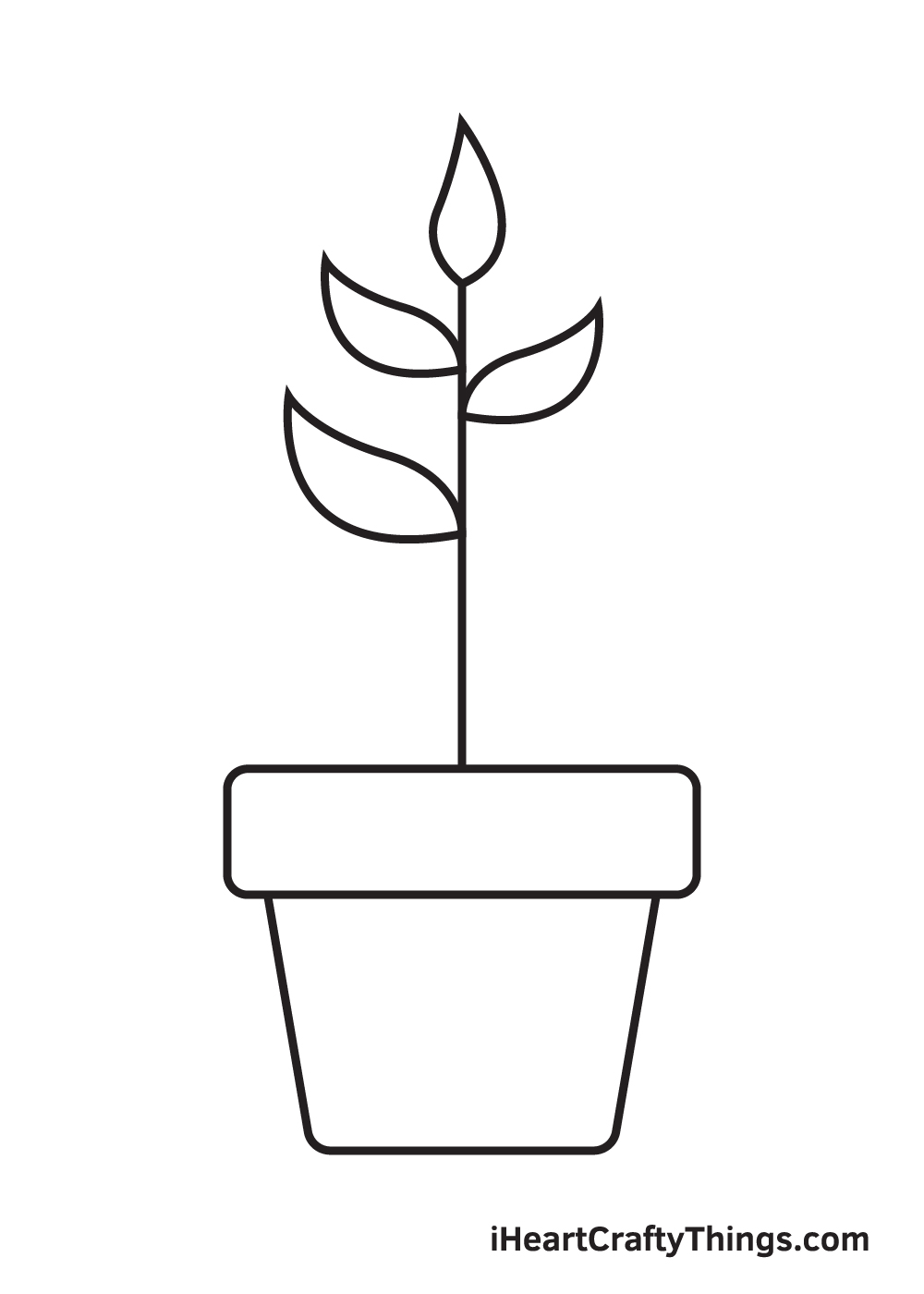 Plant drawing - Step 6
