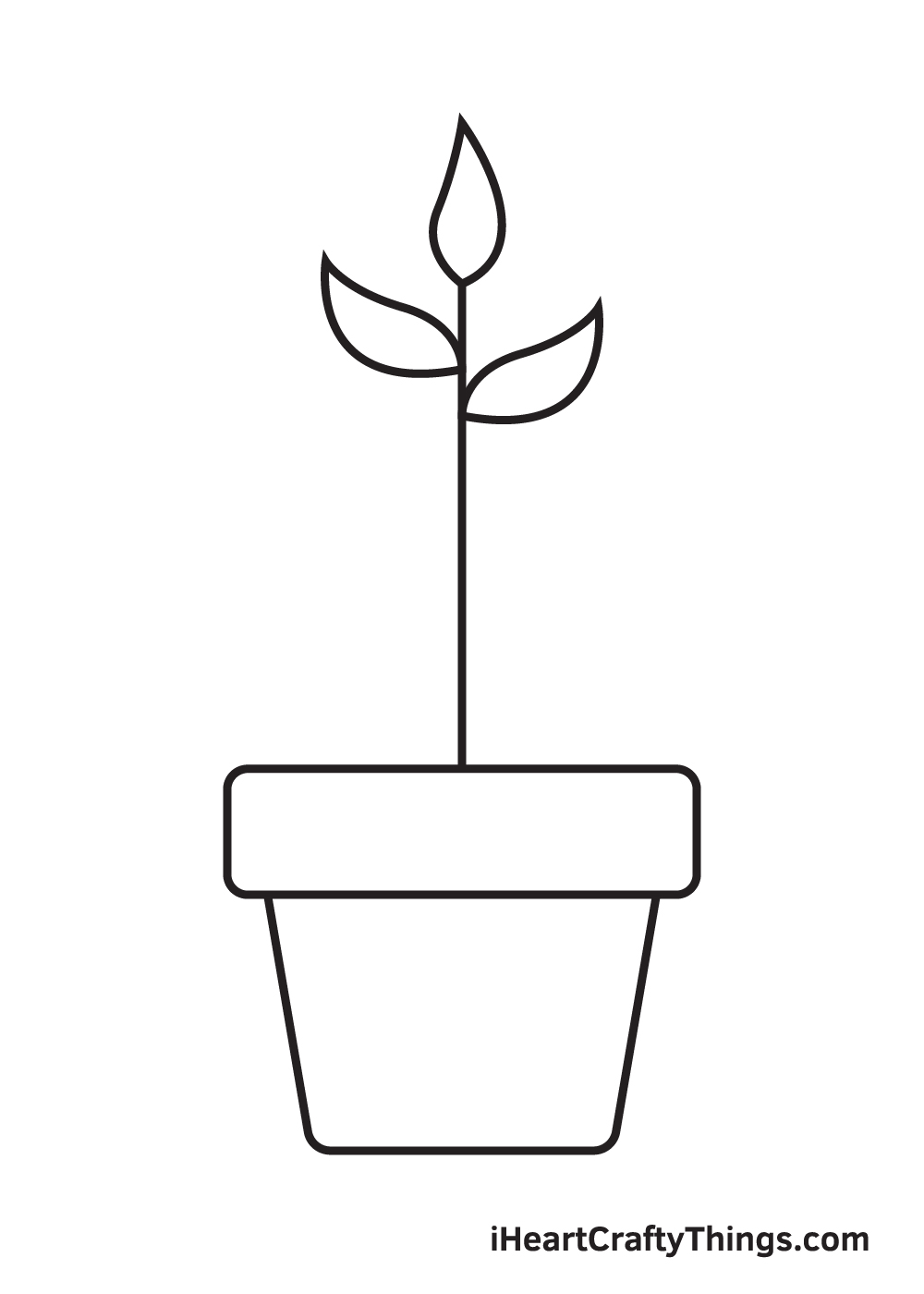 Plant Drawing - Step 5