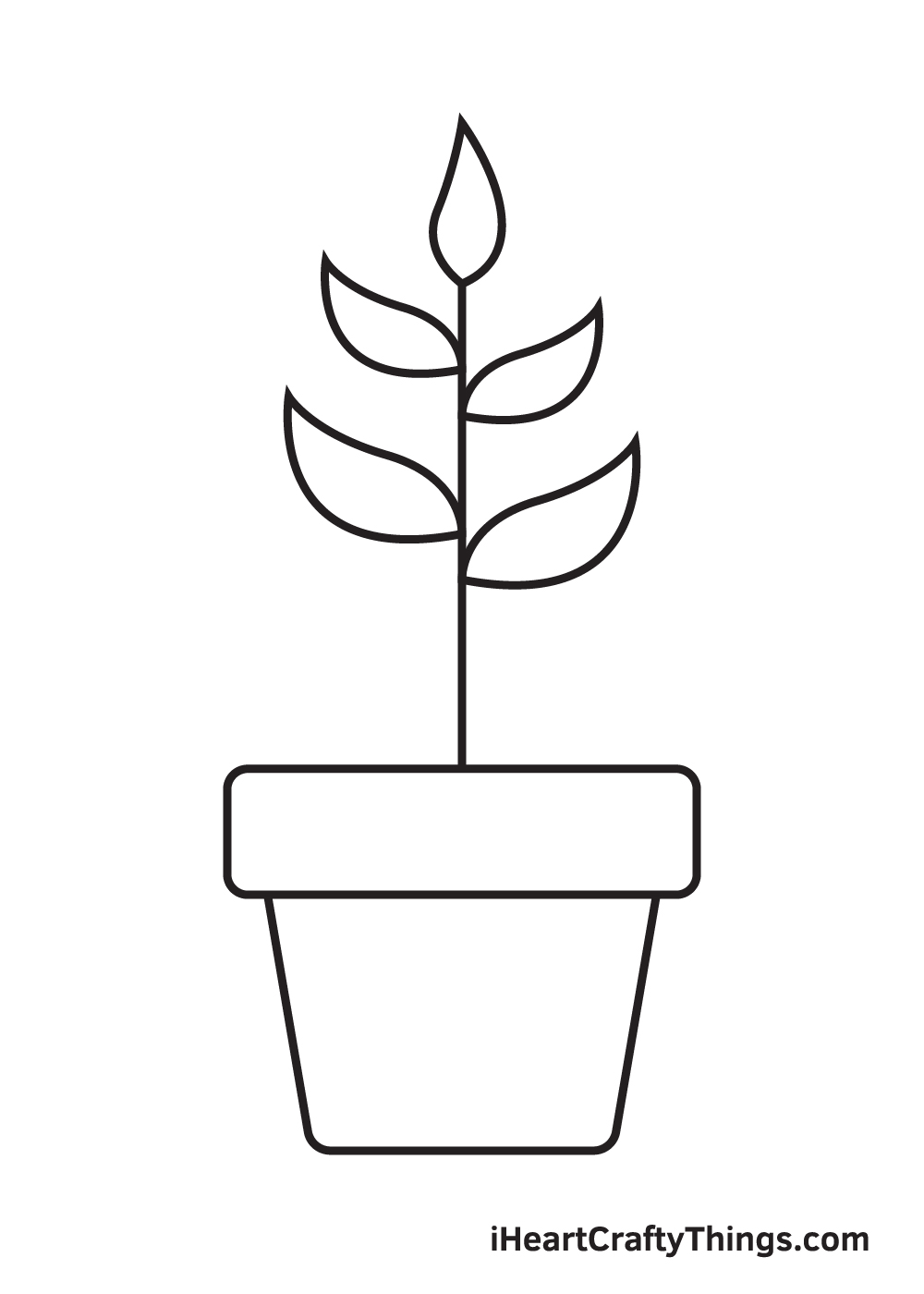 Plant drawing - Step 7