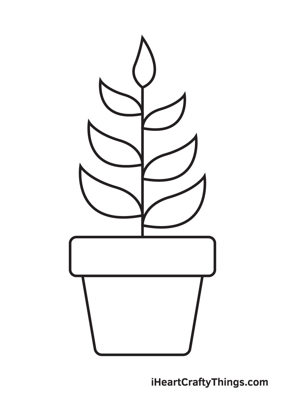 Plant drawing - Step 9
