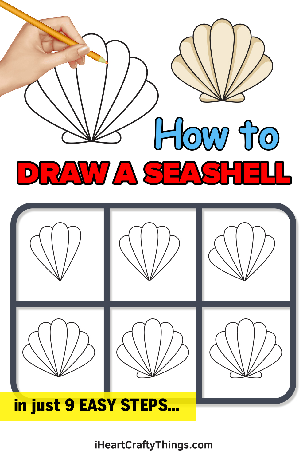 how to draw seashells in 9 easy steps