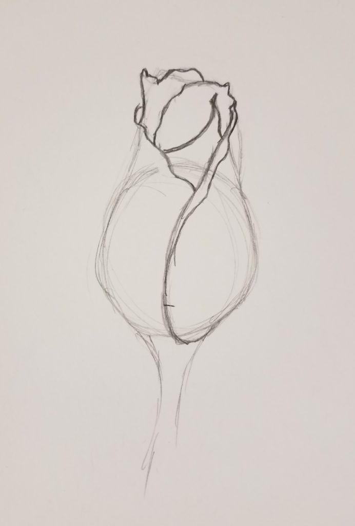 How to draw a rose bud inside