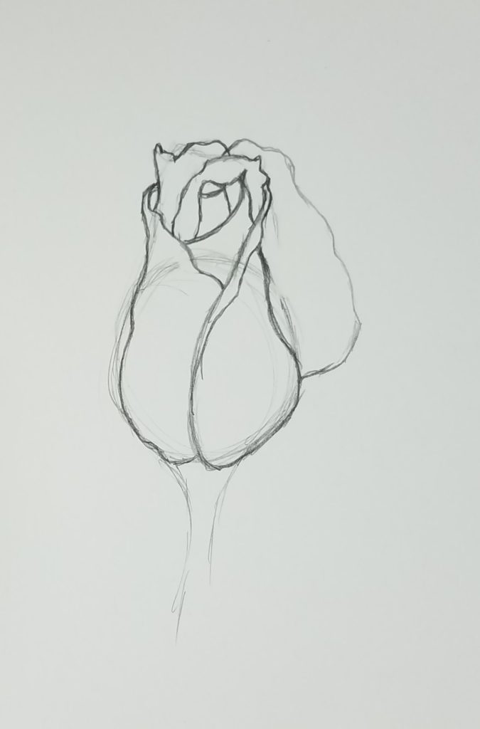 How to draw a rose bud inside the line