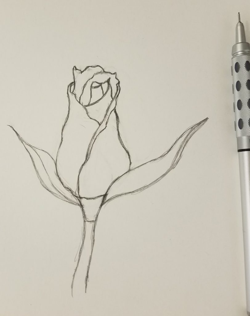 How-To-Draw-A-Rose-For-Beginners-Bud-Art-Freedom