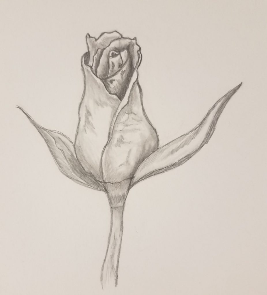 How to draw a finished rose bud