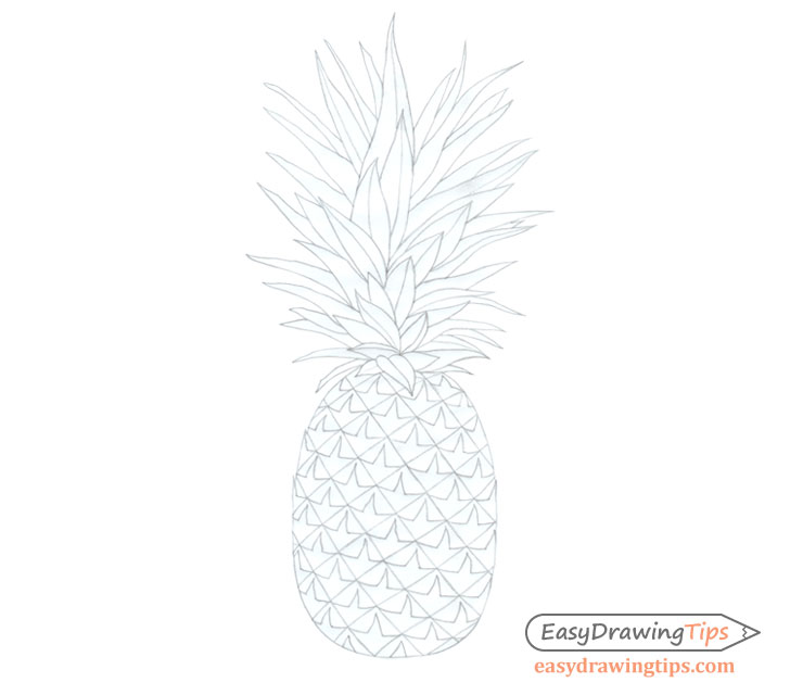 Draw pineapple lines