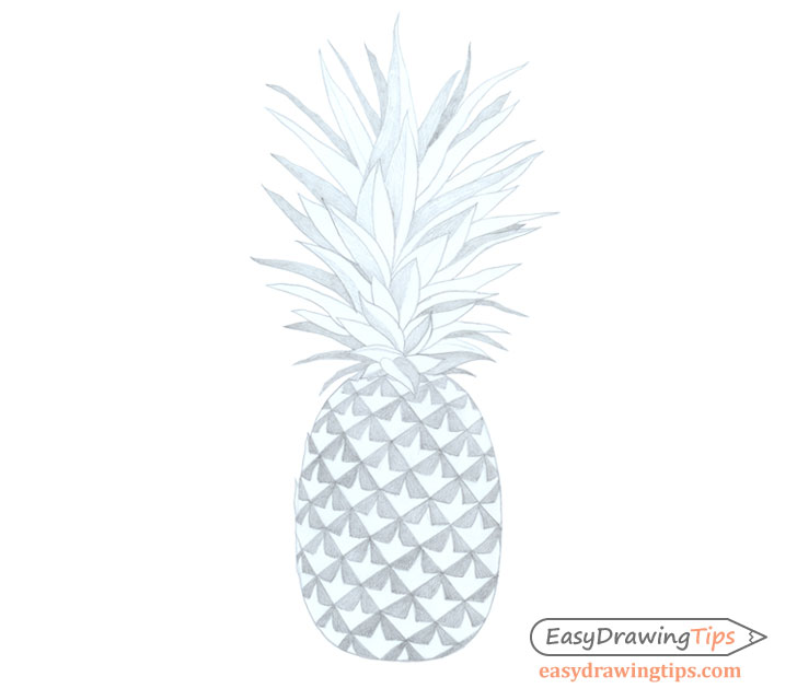 Basic shadow drawing pineapple