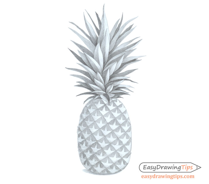 Pineapple shade