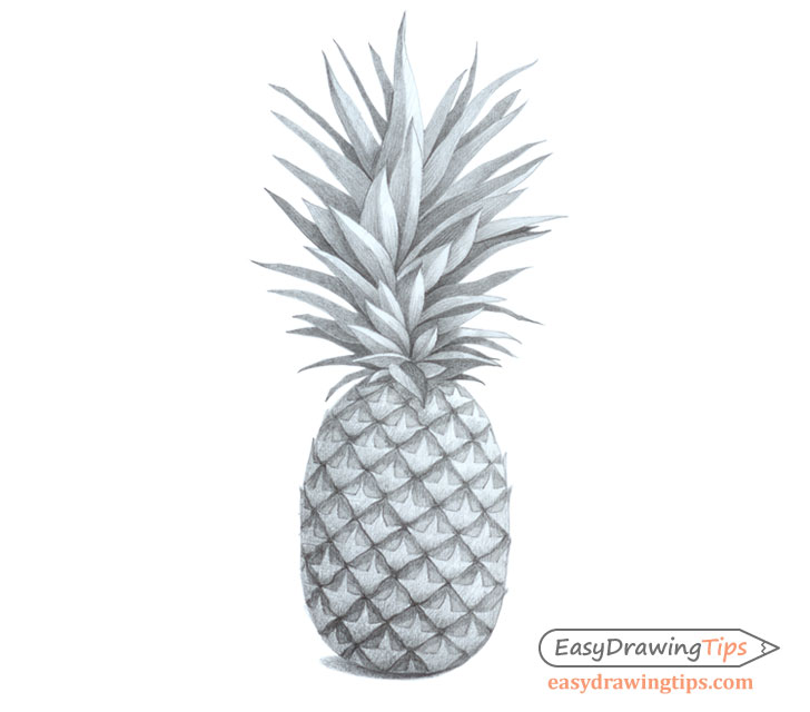 Pineapple shade drawing