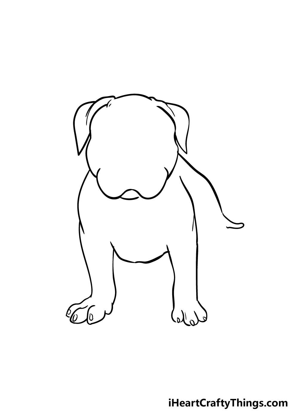 pitbull draw step 4