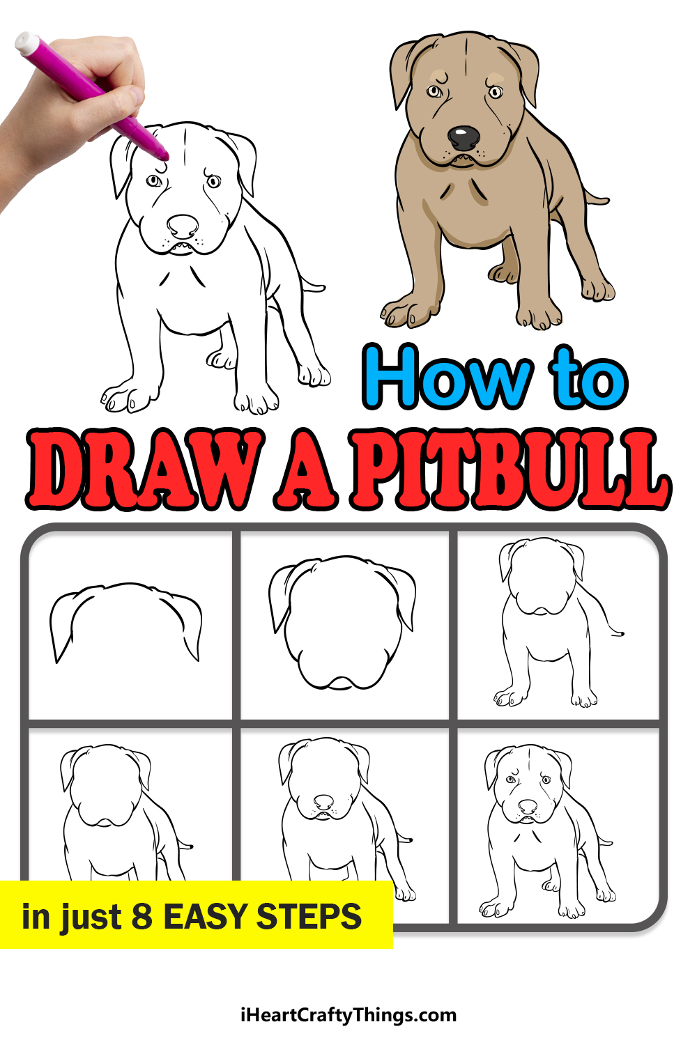 how to draw a pitbull in 8 easy steps