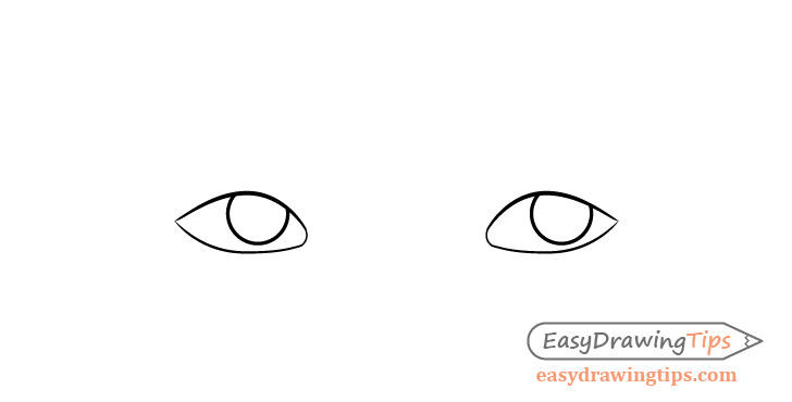 Thinking eyes irises drawing