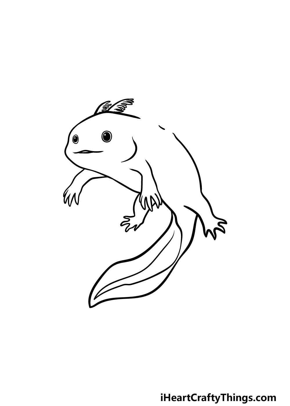 Drawing Axolotl step 4