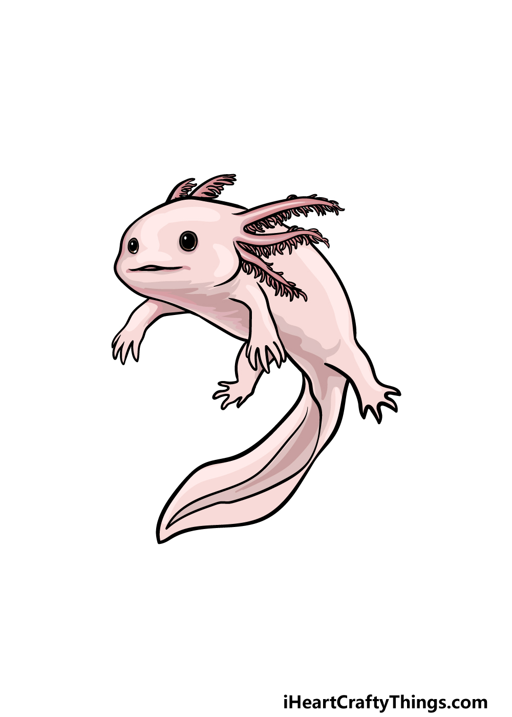 Drawing Axolotl step 6